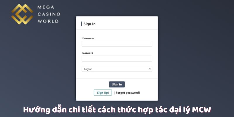 Hướng dẫn chi tiết cách thức hợp tác đại lý MCW